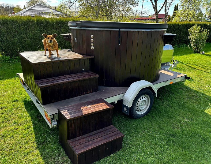 WhatsApp Image 2026-04-03 at 13.35.48